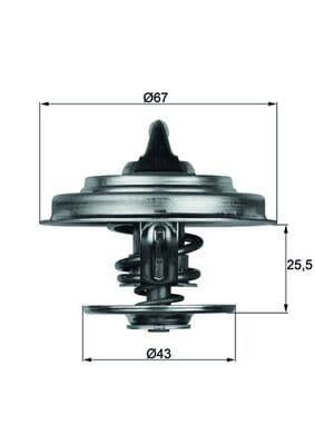 Termostat 87 C Mercedes M102 M103 OM615 OM904 W201 W202 W124 W210 W140 . Axor 1838