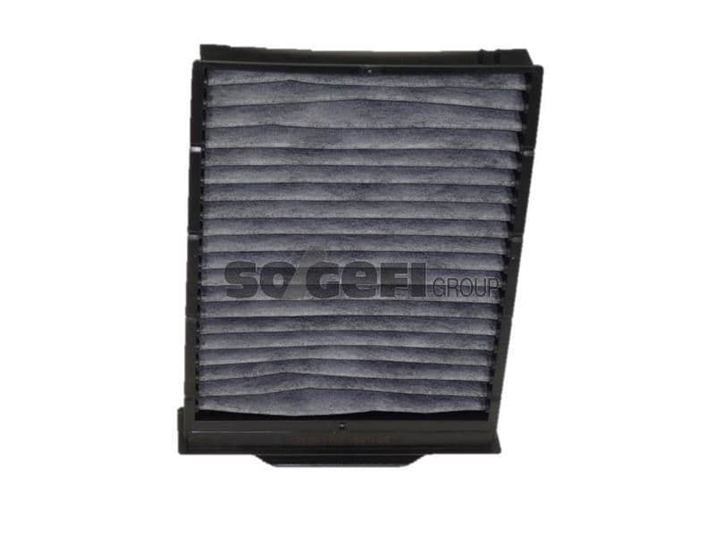Polen Filtresi Renault Megane II 02> Scenic II 02> Tüm Modeller Karbonlu