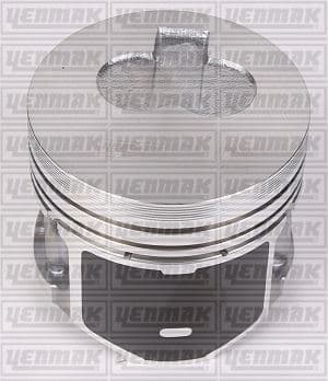 Motor Piston Segman 0.80 82.00 Fiat Doblo 1.9D