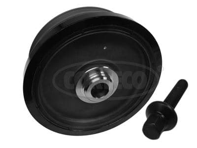 Krank Kasnagi BMW E81 E87 E46 E90 E91 E60 E61 E83 M47N2 Civatali