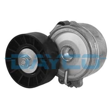 Alternatör Gergi Rulmanı Kütüklü P206-306-406-607-806-Partner-Boxer-C5-Berlingo DW10 2.0HDI-2.2HDI