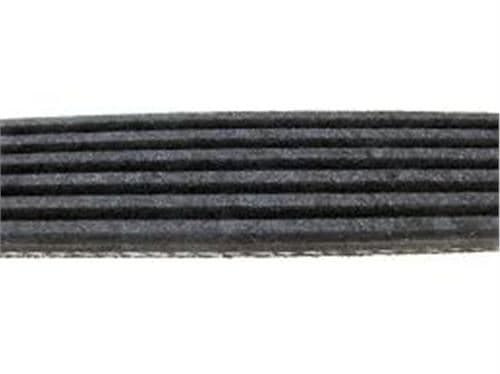 Kanallı Kayış P208-P308-P508-P3008-P5008-Expert-Jumpy-C4-C5-DS3-DS5 1.6 THP Boxer-Jumper-Ducato 2.5 Solenza-Scudo-Astra F-Corsa B-Clio I-II-KNG-Cordoba