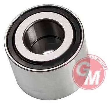 Arka Teker Rulmanı Renault 9-R11-R19-Clio I-II-III-MGN I-Modus-TWNG-Dacia Logan 04 >GB12025 Plastik Kapak