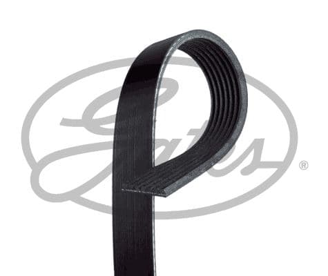Kanallı Kayış Transit V363-V348 11>14 2.2 TDCi 155PS Klimali