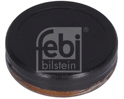 Eksantrik Zincir Gergi Tapası Mercedes M264 M271 M274 OM642 OM654 W204 S204 C204 W212 S212 C207 R172