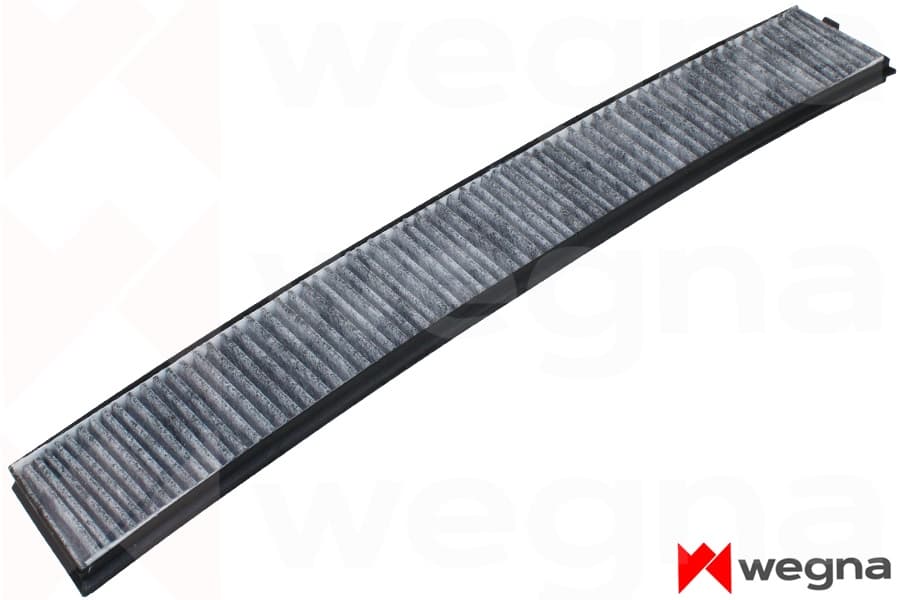 Polen Filtresi BMW E46 E83 Karbonlu