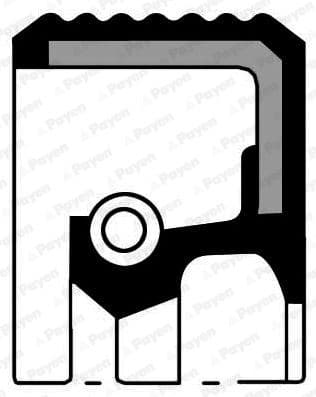 Aks Keçesi Sağ Peugeot P307-P308-P407-P408-P2008-P3008-Partner-Boxer Citroen C3-C4-C5-Xsara-Berlingo 32x50x10mm